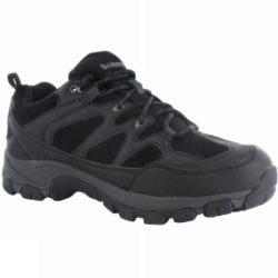 Mens Altitude Trek Low I WP Shoe